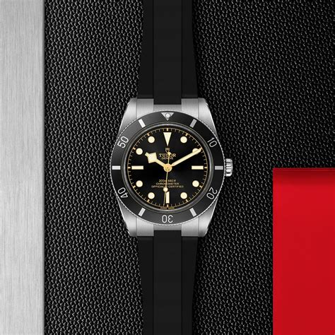 tudor black bay 54 case.